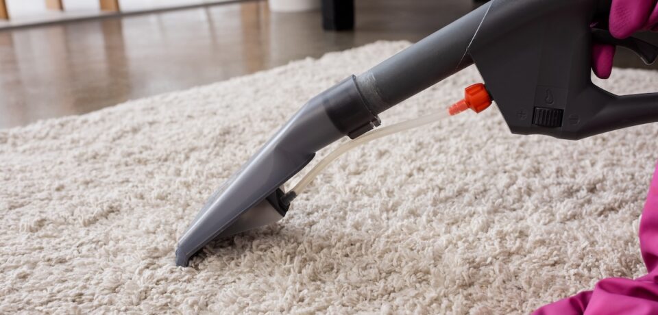 Cropped view of cleaner in rubber gloves cleaning carpet at home